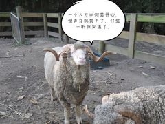 -可伦宾野生动物保护区
