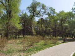 -长春市南湖公园