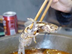 -石锅苗苗鱼(武汉首店)