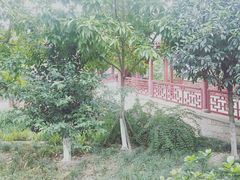 -龙潭水乡
