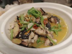 -饭怕鱼·黄焖鲟龙鱼(湖大店)