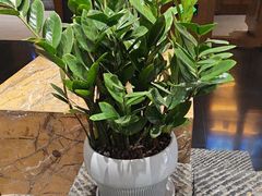 -黔蘑菇四季餐厅(观山湖店)