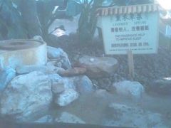 -河北霸州茗汤日月潭温泉