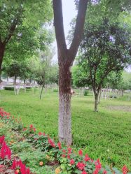 -弗蕾亚·和月月子调理院(东湖店)