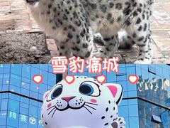 -青藏高原野生动物园