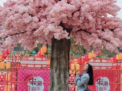 -盈香心动乐园