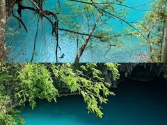 -三门海