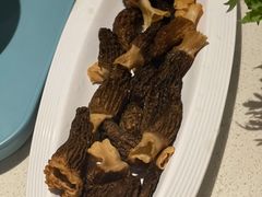 羊肚菌-百年果林椰子鸡(中洲店)