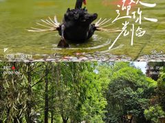 -西安曲江寒窑遗址公园