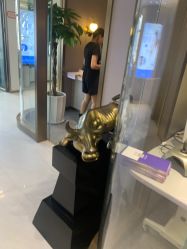 -云南吴氏嘉美医疗美容医院