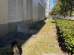 -上海海事大学(临港校区)