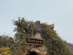-大槐树寻根祭祖园