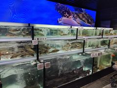 -胖东来生活广场(健康路店)