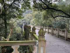 -南山植物园
