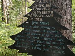 -五营国家森林公园