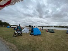 -春花秋色城市公园