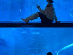 -海合安成都极地海洋公园
