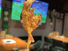 -京狮炙燥·精酿烧烤(首经贸店)