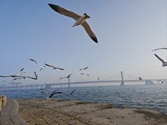 -星海广场