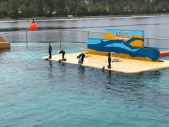 -秦皇岛乐岛海洋王国