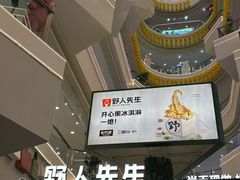 -野人先生Gelato(上海长宁龙之梦店)