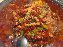-探鱼·鲜青椒爽麻烤鱼(北京路天河城店)