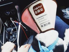-伟伟宠物医院·CT影像中心·瑞派犬猫综合性门诊(汉口总院)
