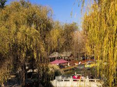-洛阳市隋唐城遗址植物园