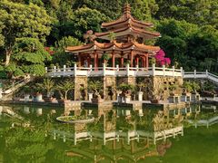 -深圳仙湖植物园