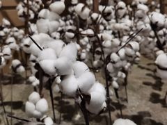 -中国天府农业博览园