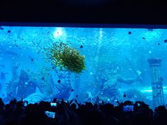 -哈尔滨波塞冬海底世界