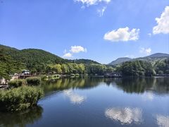 -望庐说·本地菜馆