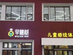 -早慧树儿童感觉统合体能训练中心(市北校区)