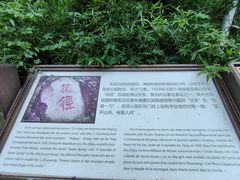 -庐山风景区花径公园