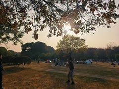 -艾溪湖湿地公园