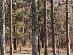 -长春市南湖公园