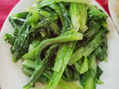 蒜蓉油麥菜-蛇口康乐快餐鱼仔档(翠苑小区店)