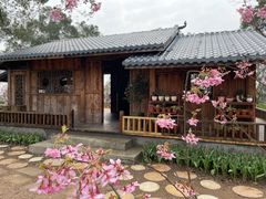 -南山植物园