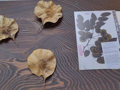 -设计共和 Design Republic(江宁路店)