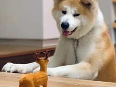 -YCHL Studios健身工作室(市二宫店)
