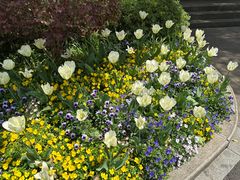 -浙江西子宾馆·瑶园咖啡厅