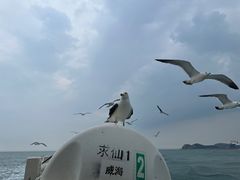 -海驴岛(荣成市)