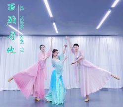 -学舞岛·成人少儿舞蹈培训