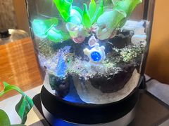 -骏莱海鲜鱼港(五角场店)