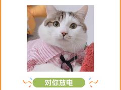 -半岛宠物医院24小时(科华中路店)