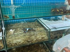 -同道蒸汽海鲜烧烤自助(刘庄夜市店)