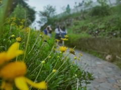 -远山有窑