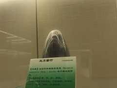 -广东中医药博物馆