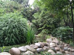 -成都市活水公园