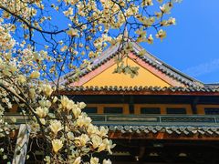 -龙华寺